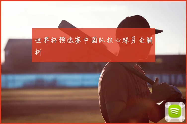 世界杯预选赛中国队核心球员全解析