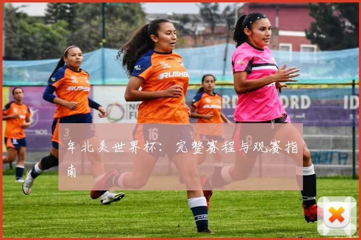 年北美世界杯：完整赛程与观赛指南
