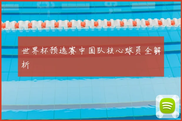 世界杯预选赛中国队核心球员全解析