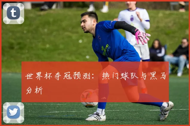 世界杯夺冠预测：热门球队与黑马分析